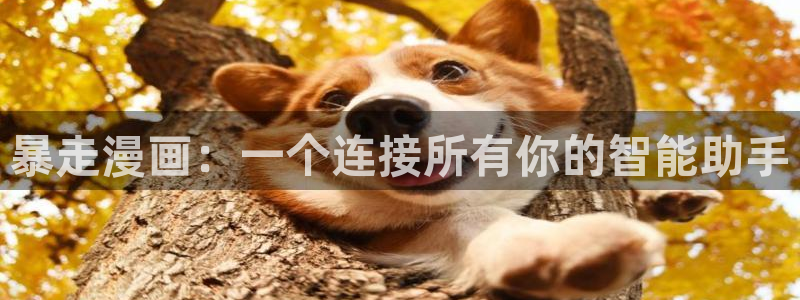 喵趣漫画怎么用不了了