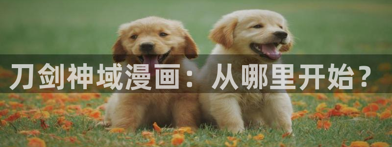 漫画喵漫画漫画免费