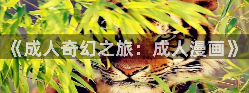 喵儿漫画：《成人奇幻之旅：成人漫画》