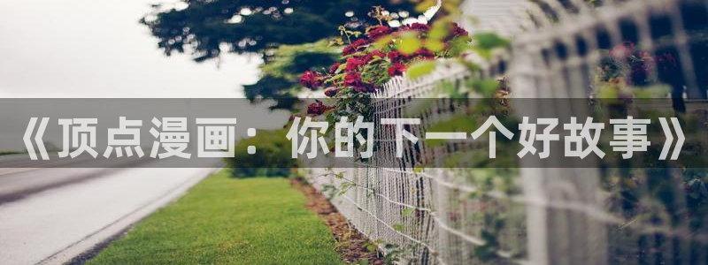 喵趣漫画免费看漫画：《顶点漫画：你的下一个好故事》
