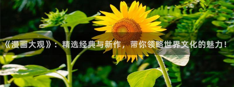漫蛙manwa漫画免费：《漫画大观》：精选经典与新作，带你领略世界文化的魅力！